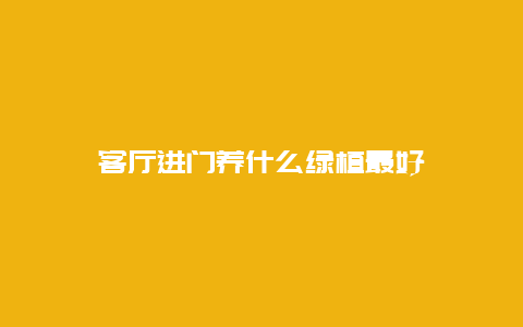 客厅进门养什么绿植最好