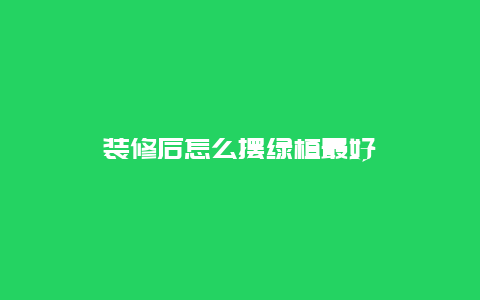 装修后怎么摆绿植最好