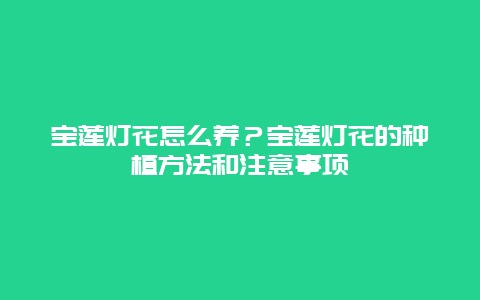 宝莲灯花怎么养？宝莲灯花的种植方法和注意事项