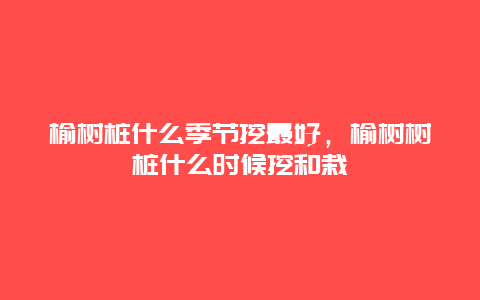 榆树桩什么季节挖最好，榆树树桩什么时候挖和栽