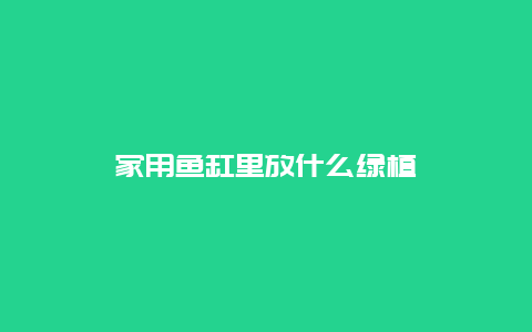 家用鱼缸里放什么绿植