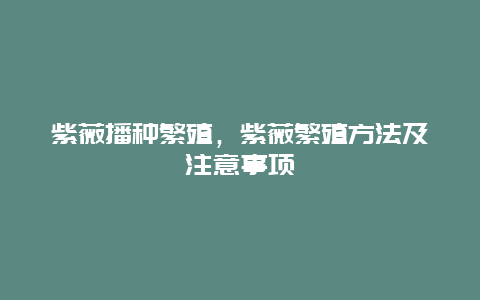 紫薇播种繁殖，紫薇繁殖方法及注意事项