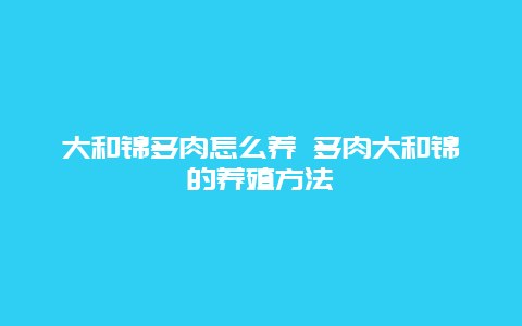 大和锦多肉怎么养 多肉大和锦的养殖方法