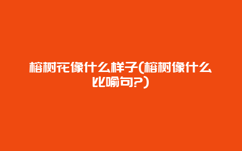 榕树花像什么样子(榕树像什么比喻句?)