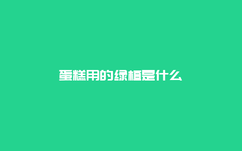 蛋糕用的绿植是什么