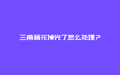 三角梅花掉光了怎么处理？