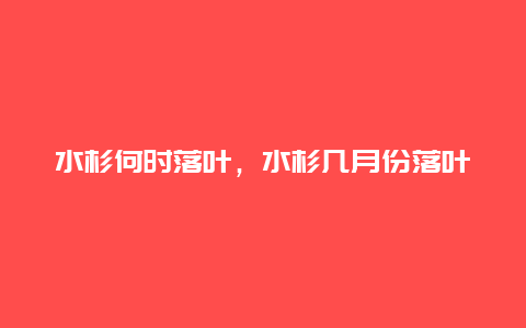 水杉何时落叶，水杉几月份落叶