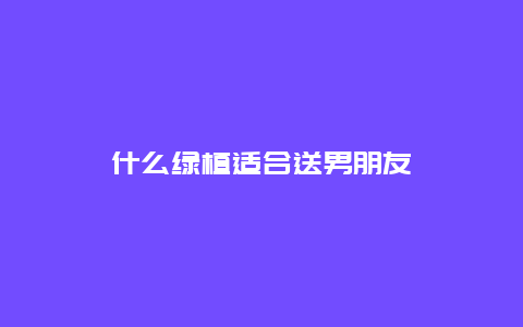 什么绿植适合送男朋友