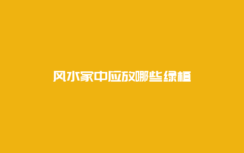 风水家中应放哪些绿植