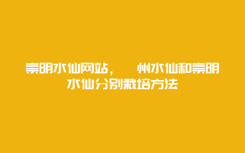 崇明水仙网站，漳州水仙和崇明水仙分别栽培方法