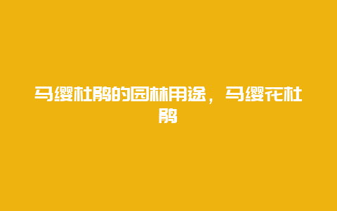 马缨杜鹃的园林用途，马缨花杜鹃