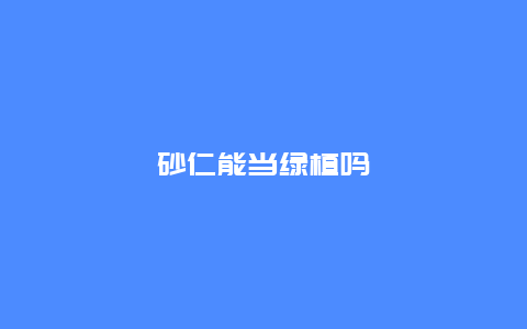 砂仁能当绿植吗