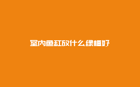 室内鱼缸放什么绿植好