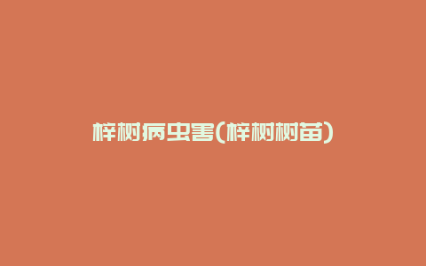 梓树病虫害(梓树树苗)