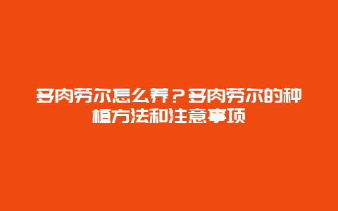 多肉劳尔怎么养？多肉劳尔的种植方法和注意事项