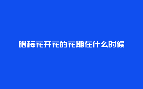 腊梅花开花的花期在什么时候