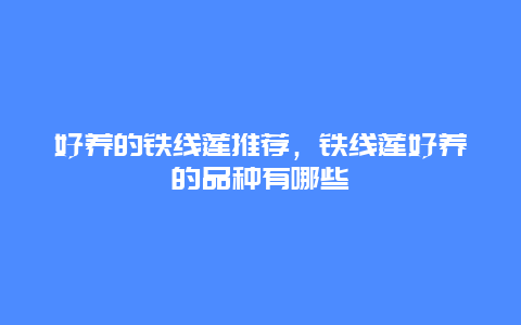 好养的铁线莲推荐，铁线莲好养的品种有哪些