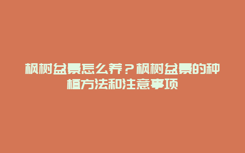 枫树盆景怎么养？枫树盆景的种植方法和注意事项