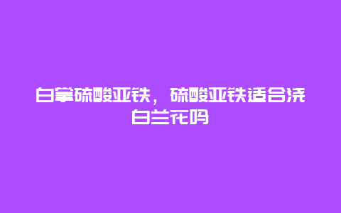 白掌硫酸亚铁，硫酸亚铁适合浇白兰花吗