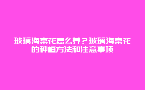 玻璃海棠花怎么养？玻璃海棠花的种植方法和注意事项