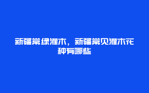 新疆常绿灌木，新疆常见灌木花种有哪些