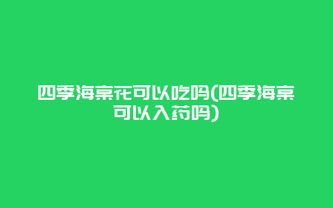 四季海棠花可以吃吗(四季海棠可以入药吗)