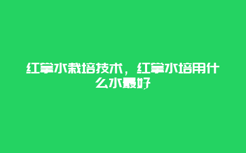 红掌水栽培技术，红掌水培用什么水最好