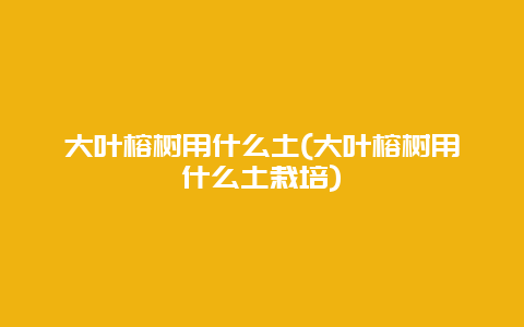 大叶榕树用什么土(大叶榕树用什么土栽培)