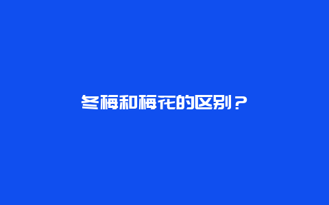 冬梅和梅花的区别？