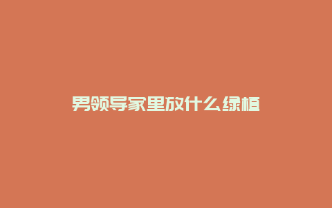 男领导家里放什么绿植