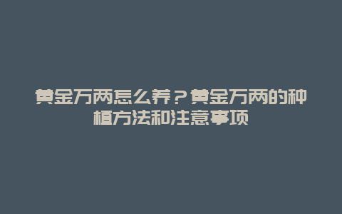 黄金万两怎么养？黄金万两的种植方法和注意事项