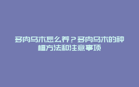 多肉乌木怎么养？多肉乌木的种植方法和注意事项