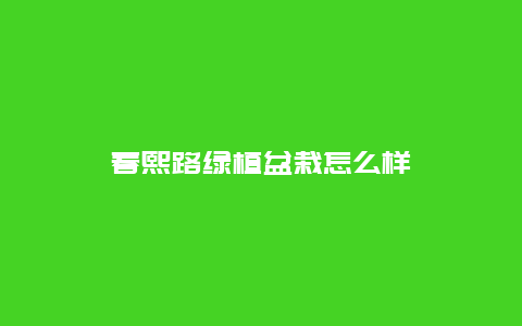 春熙路绿植盆栽怎么样