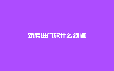 新房进门放什么绿植