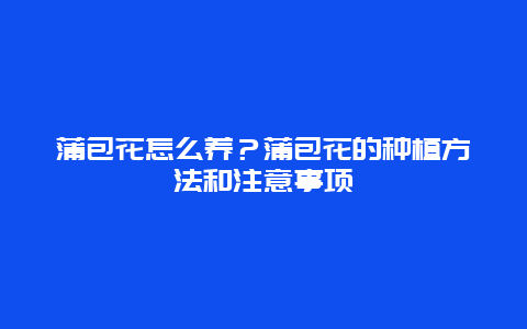 蒲包花怎么养？蒲包花的种植方法和注意事项