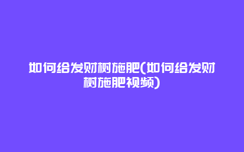 如何给发财树施肥(如何给发财树施肥视频)