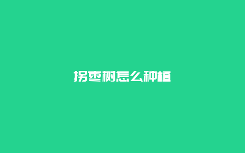 拐枣树怎么种植