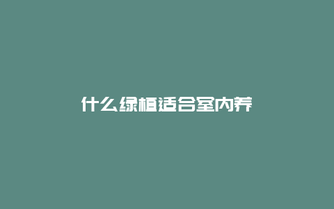 什么绿植适合室内养