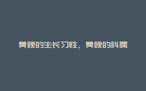 黄槐的生长习性，黄槐的科属