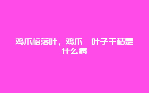 鸡爪榕落叶，鸡爪槭叶子干枯是什么病