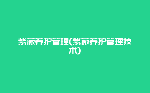 紫薇养护管理(紫薇养护管理技术)