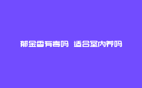 郁金香有毒吗 适合室内养吗