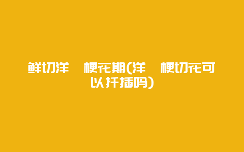 鲜切洋桔梗花期(洋桔梗切花可以扦插吗)