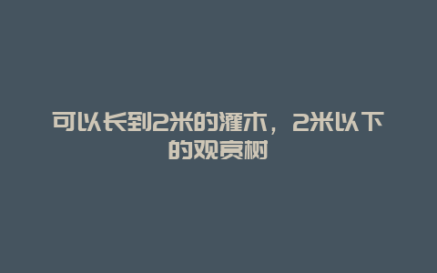 可以长到2米的灌木，2米以下的观赏树