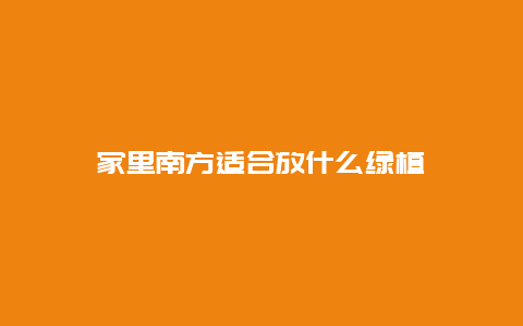 家里南方适合放什么绿植