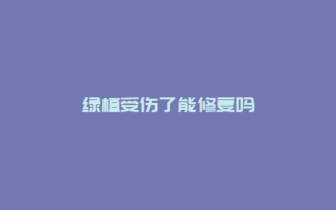 绿植受伤了能修复吗