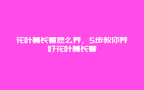 花叶蔓长春怎么养，5步教你养好花叶蔓长春