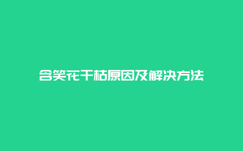 含笑花干枯原因及解决方法