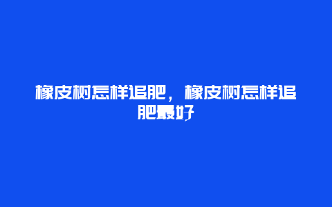 橡皮树怎样追肥，橡皮树怎样追肥最好