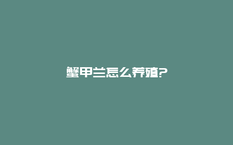 蟹甲兰怎么养殖?